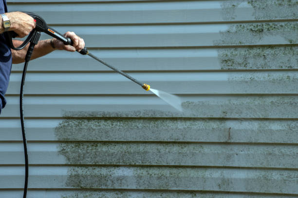 Best Solar Panel Cleaning  in Brunswick, GA